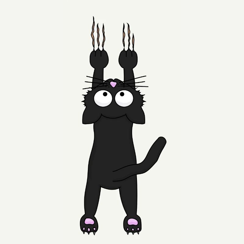 Black cat