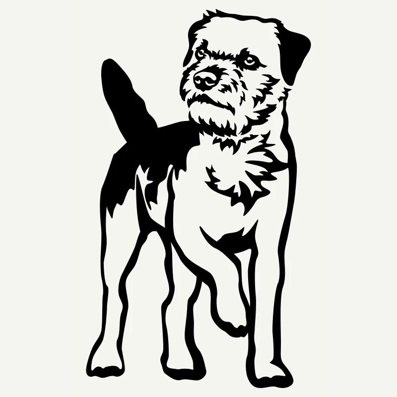 Border Terrier