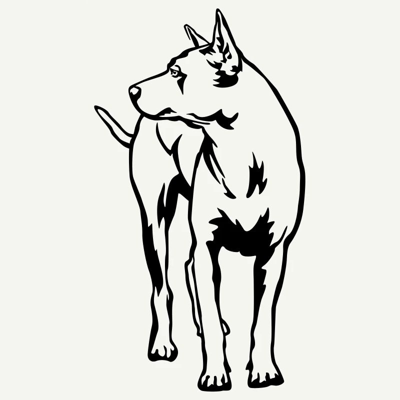 Thaï Ridgeback