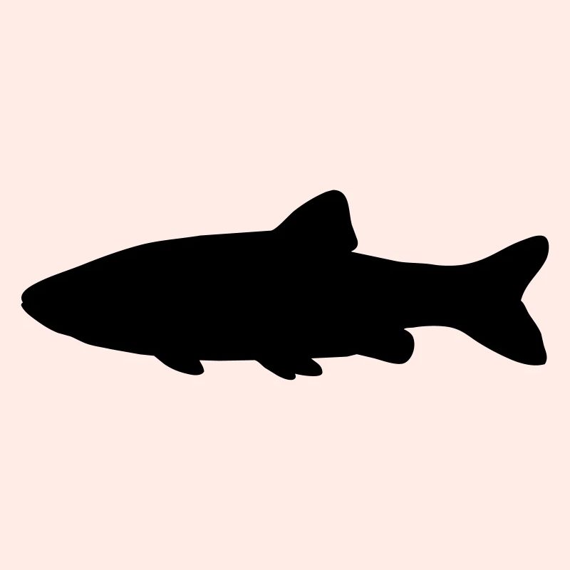 Fish silhouette chub