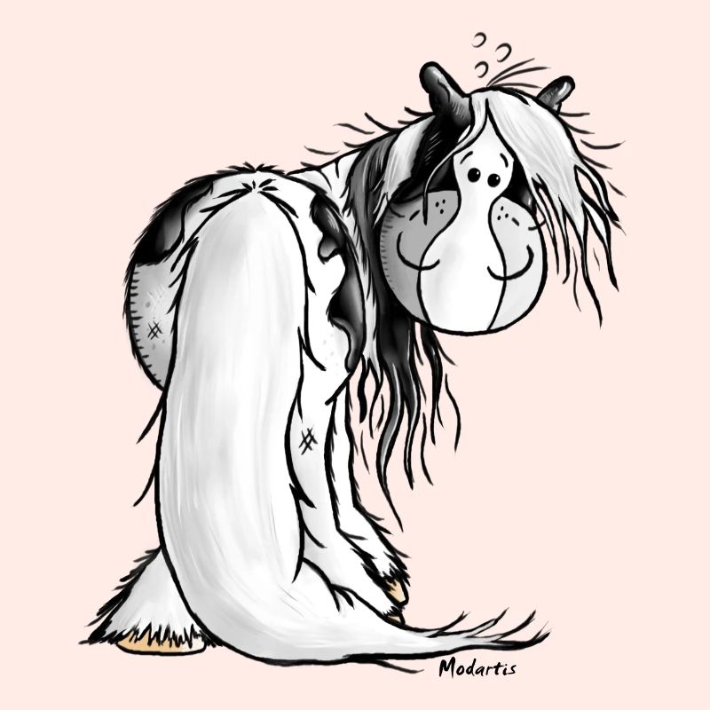 Gypsy Cob - Irish Cob – Pinto – Cheval