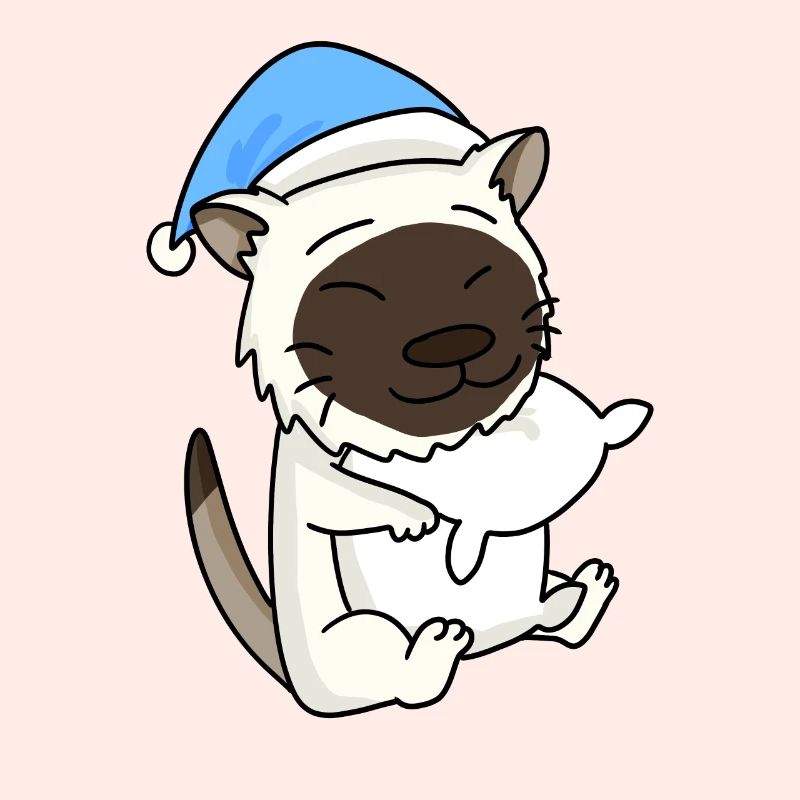 Chat race de chat Birmanie