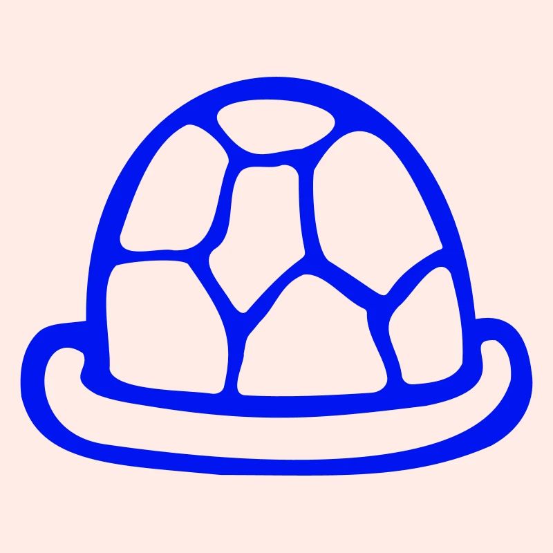 Turtle shell without turtle cute shell