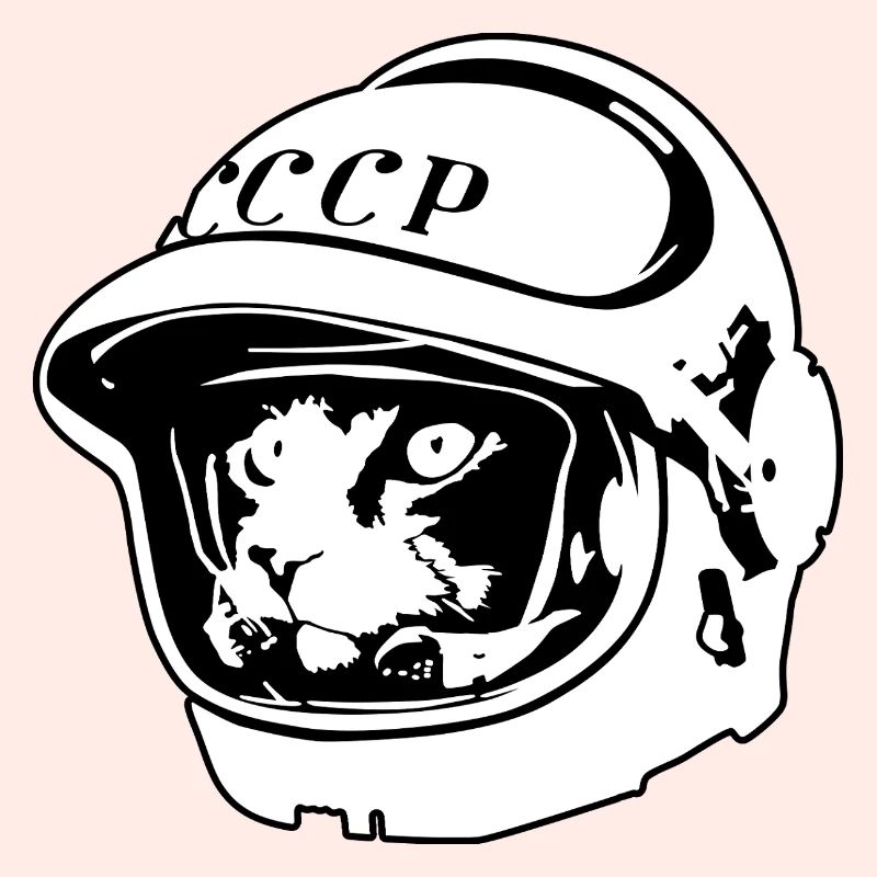 Kosmo Cat – Aventure spatiale et astronomique