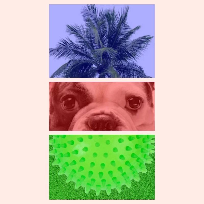 Triptych Palm Tree – Dog – Spikes