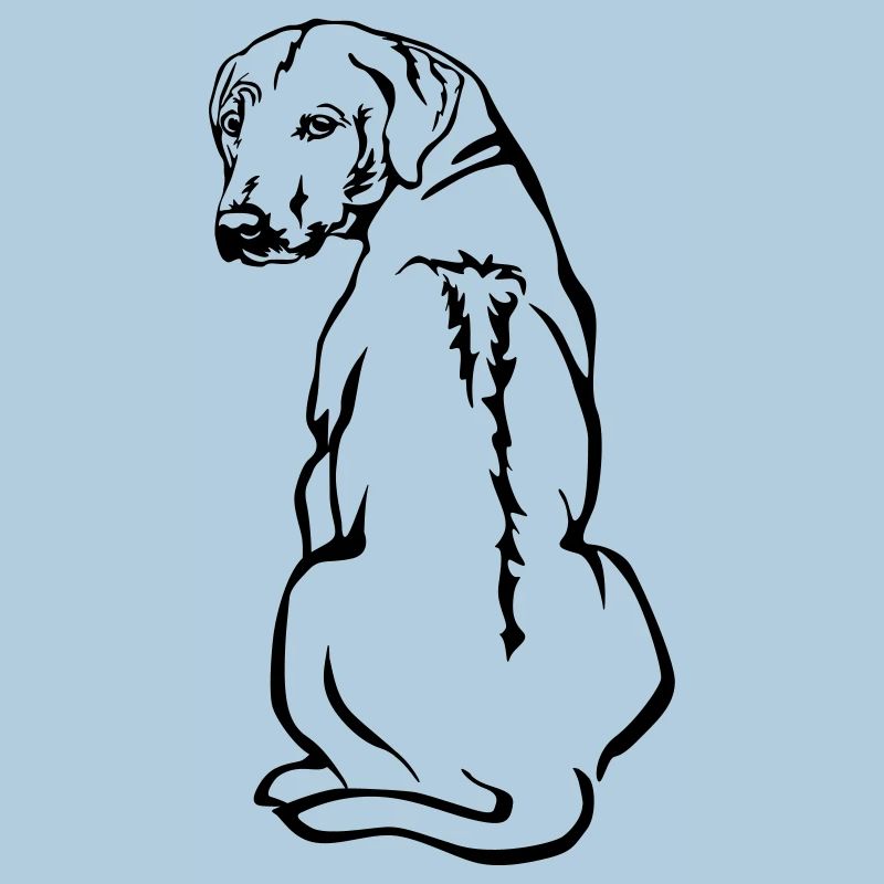 Rhodesian Ridgeback