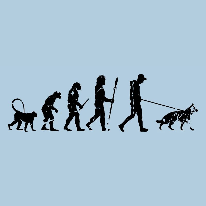 Evolution du berger allemand