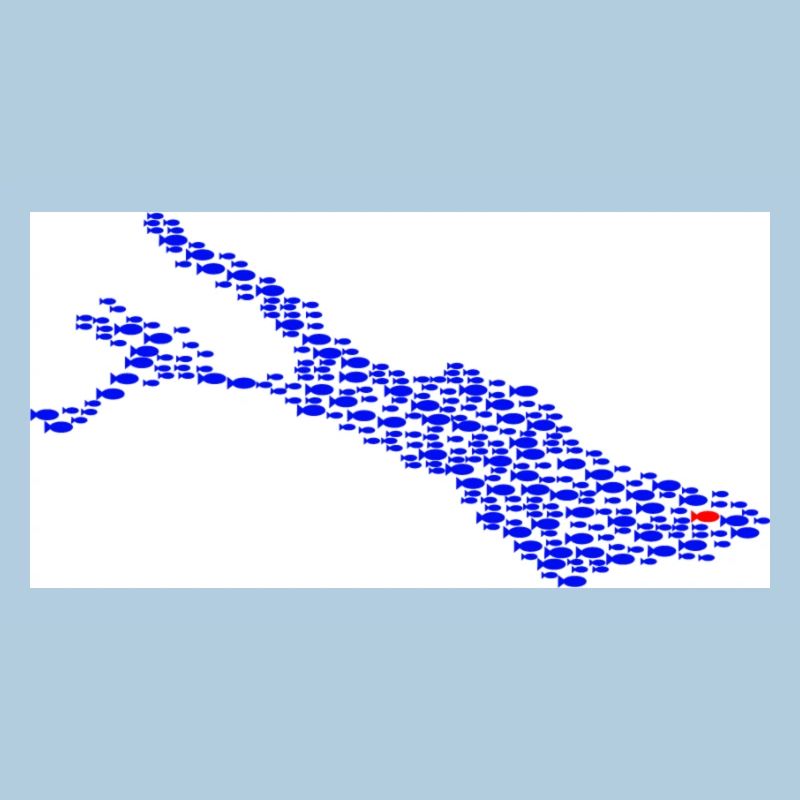 Lake Constance fish