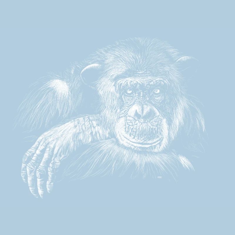 monkey