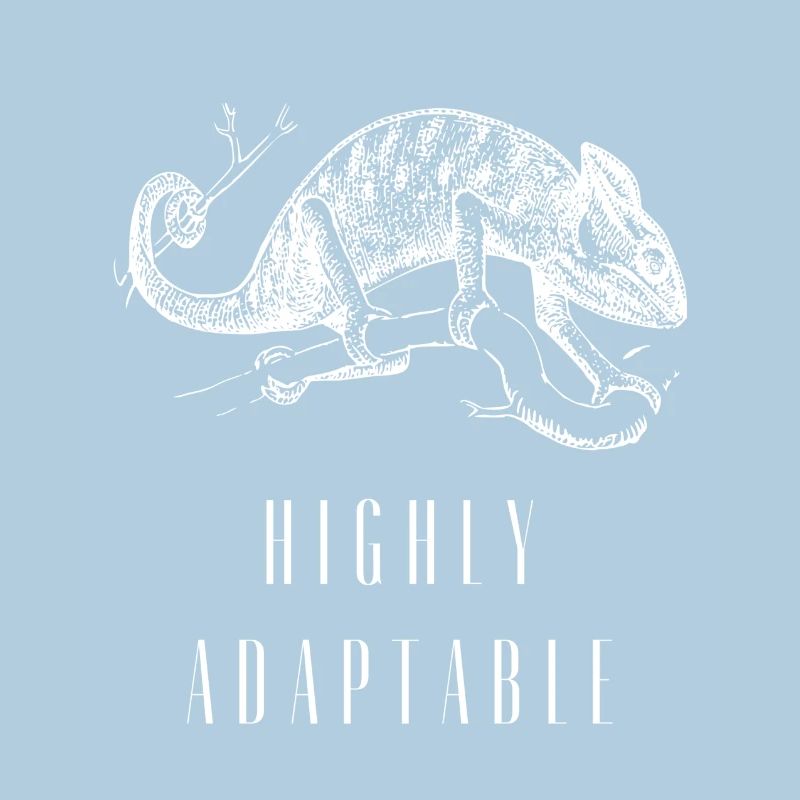 Highly Adaptable Chameleon Growth Mindset