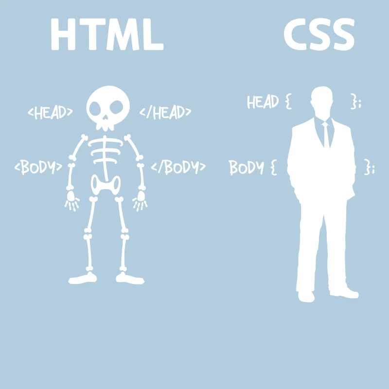 Code Css C++ Php Java Developer Code Scripting
