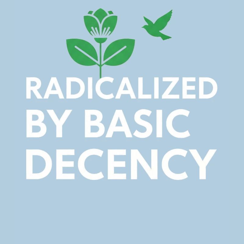 Radicalized By Basic Decency Statement shirt decal