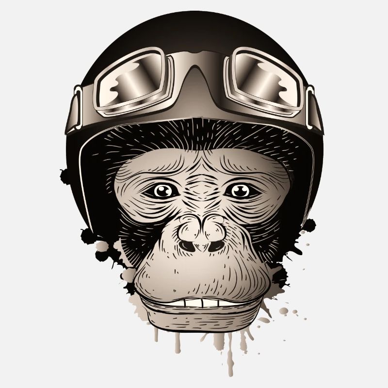 Chimpanzee with retro motorcycle helmet and goggles