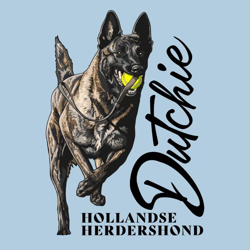 Dutch Shepherd - Dutchie 