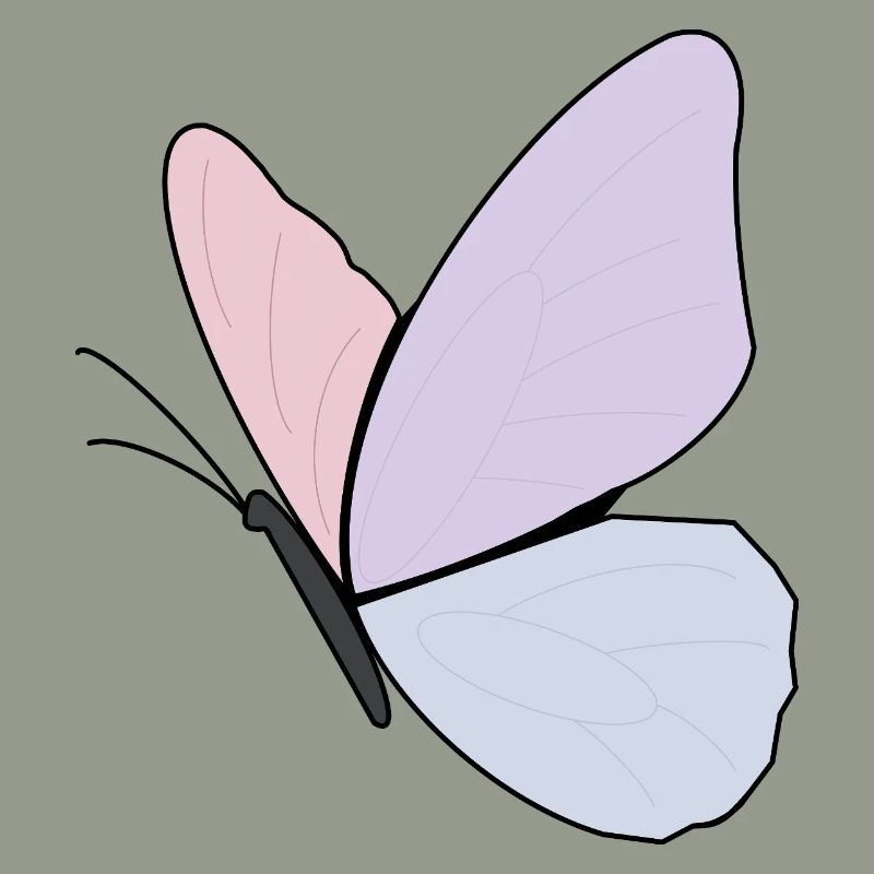 Conception de papillon pastel