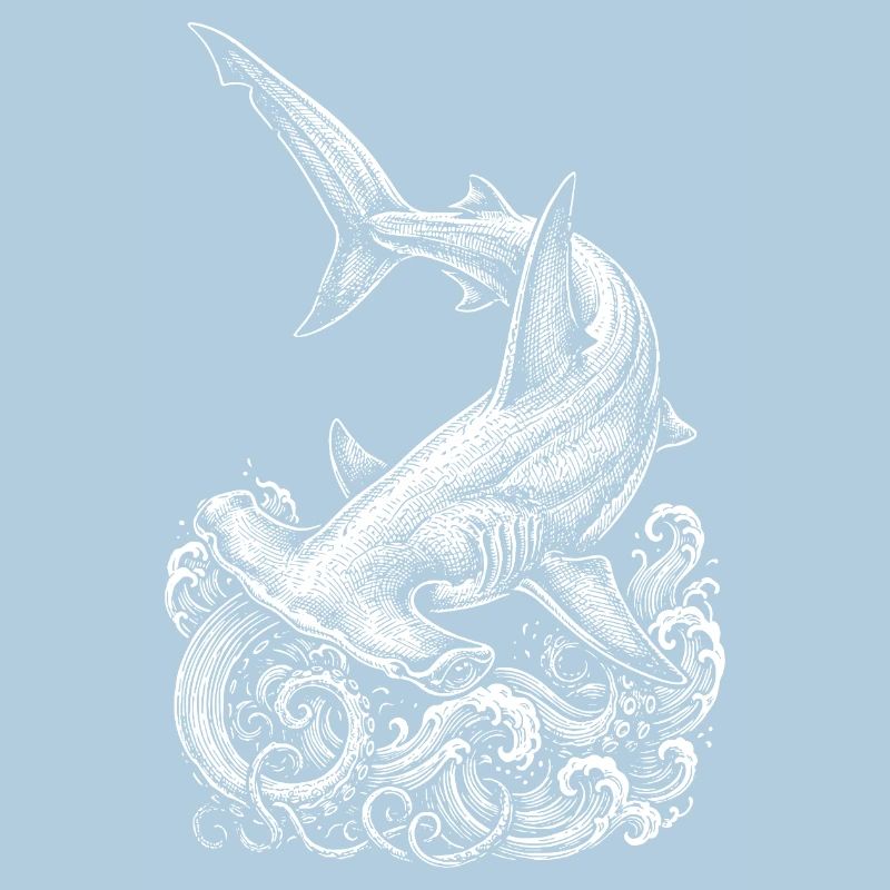Conception du requin-marteau