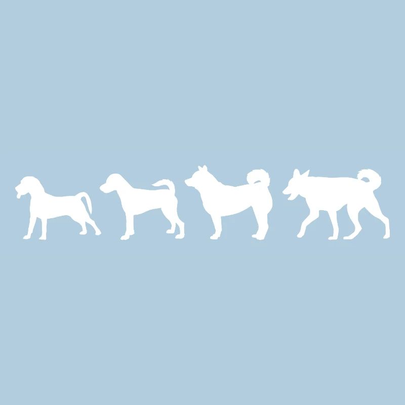 Évolution du chien