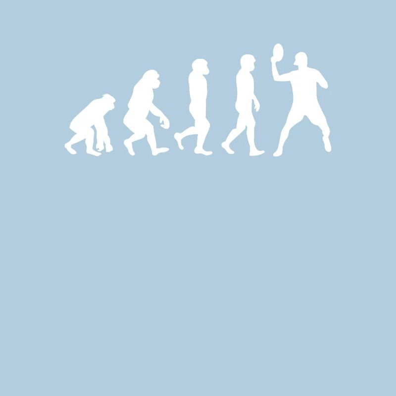 Discgolf Evolution