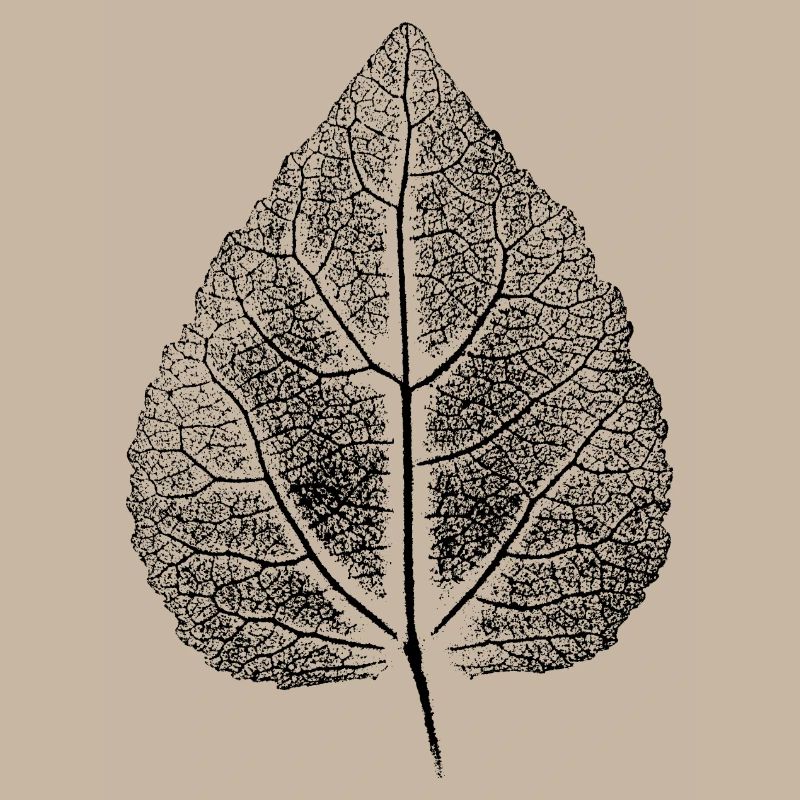 Blatte Linde ANALOG Impression d’art