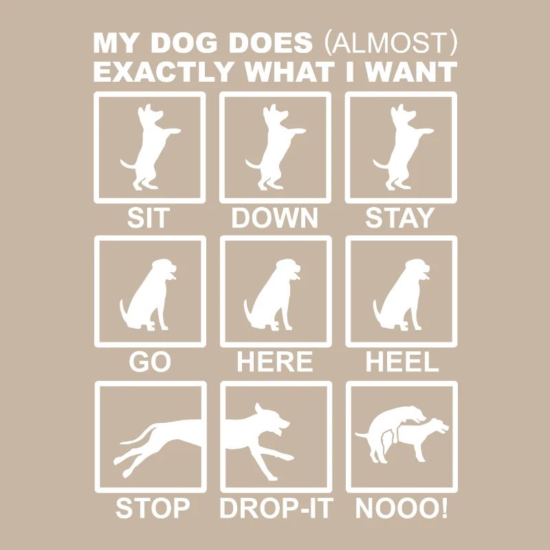 Dog training