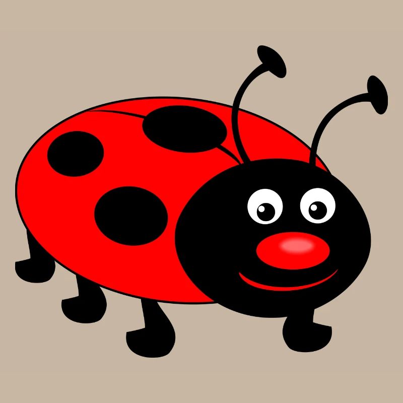 ladybug