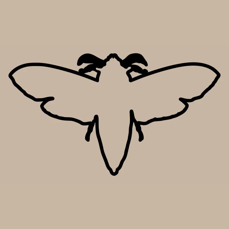 Papillon de nuit 2