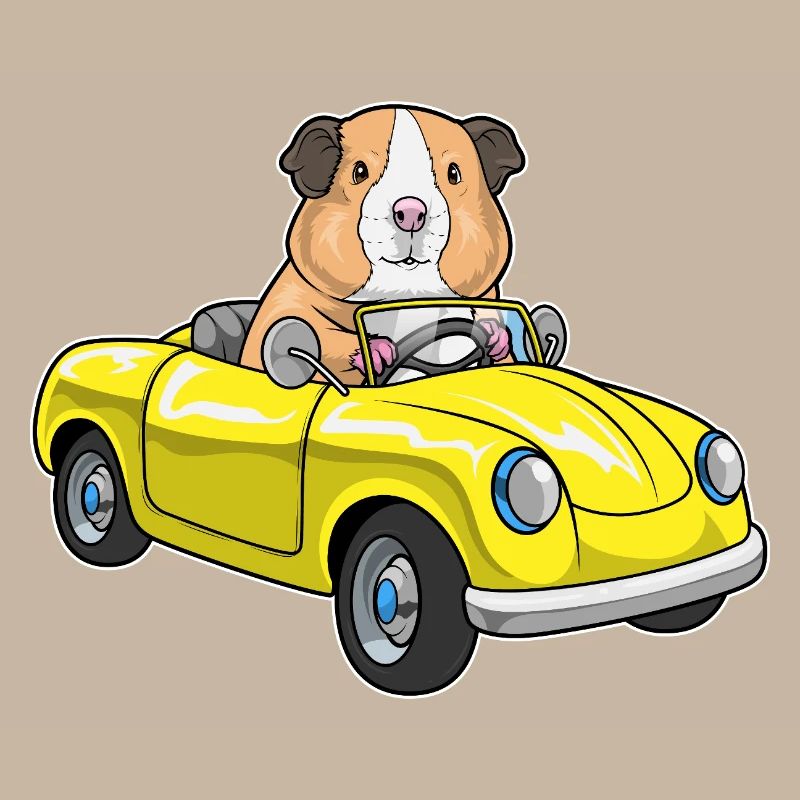 Voiture cochon d’Inde