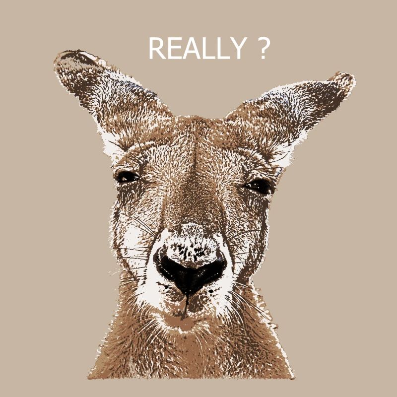 Kangaroo really?