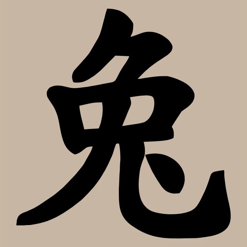 Chinese notebook rabbit shadow image