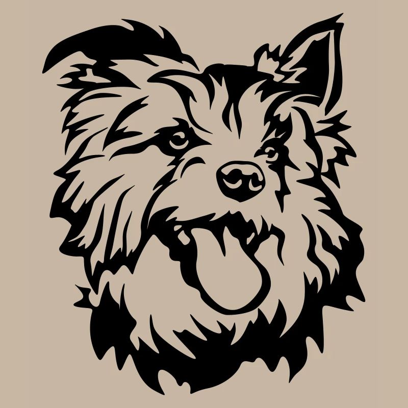 Australian Terrier Kopf