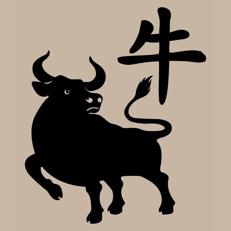 Caractère chinois OS avec image du système d’exploitation, ombre