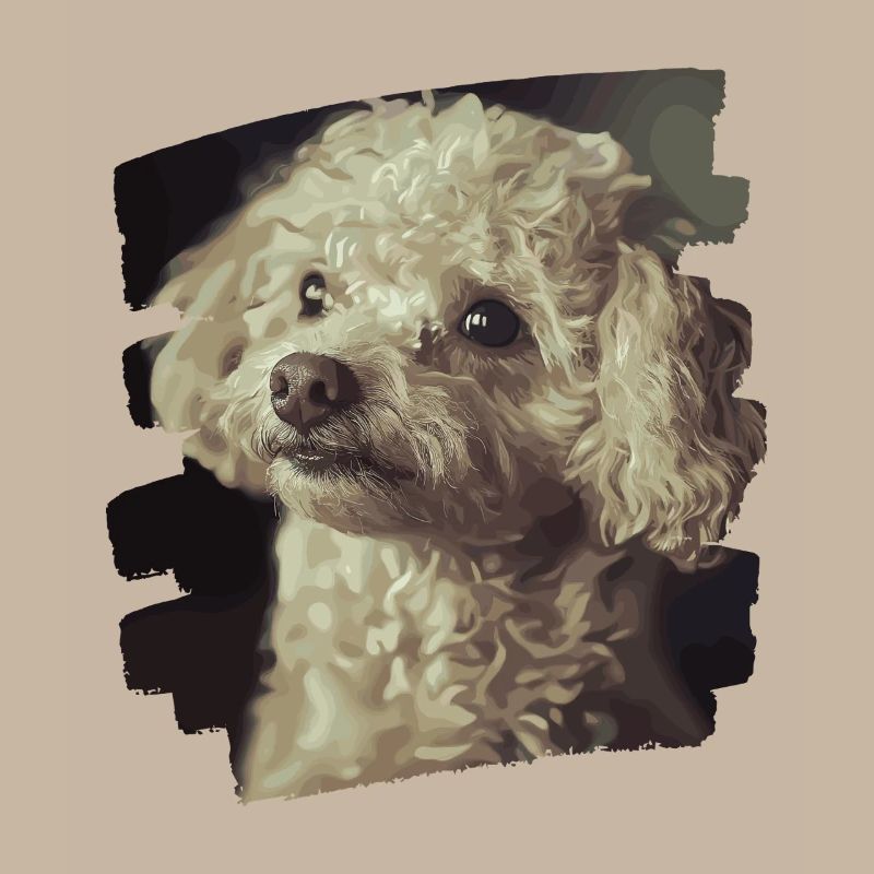 Caniche