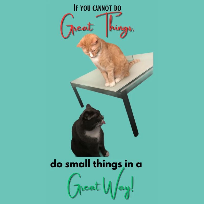 If you cannot do Great Things, do small things...