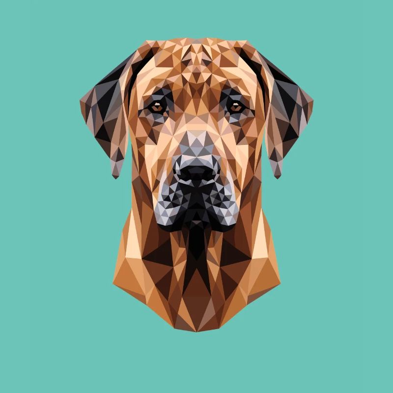 Rhodesian Ridgeback Jagdhund Hunde Stolz Ridgeback