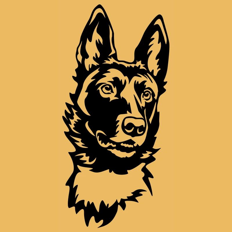 Malinois Kopf