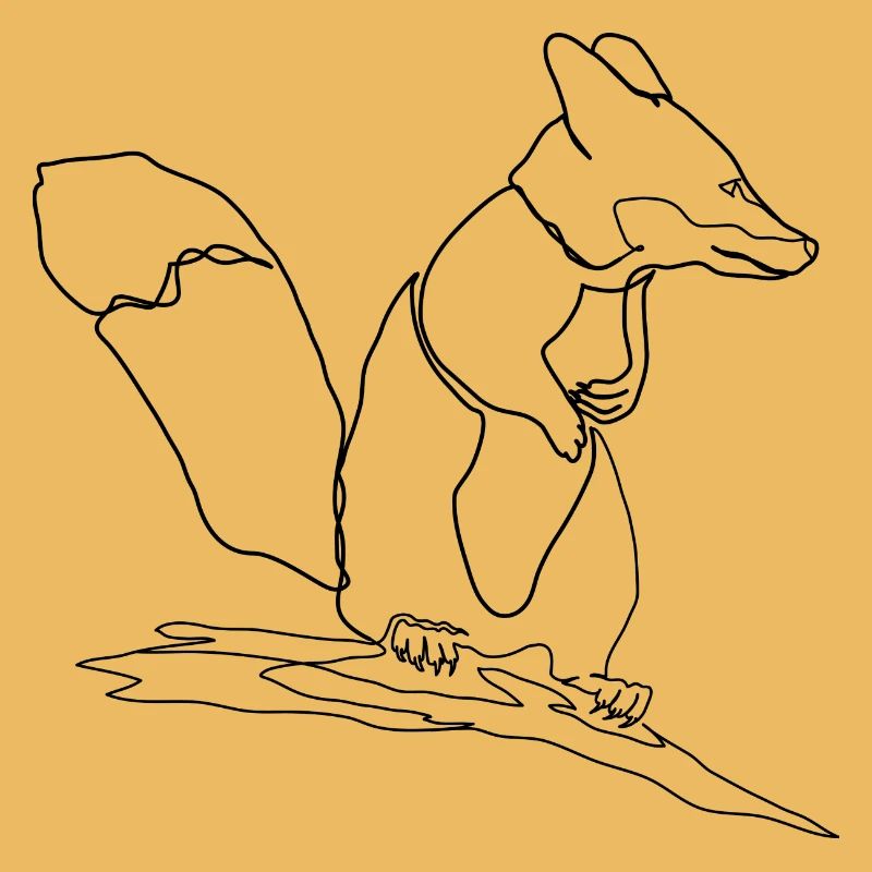 Fox Squirrel Squirrel Fox
