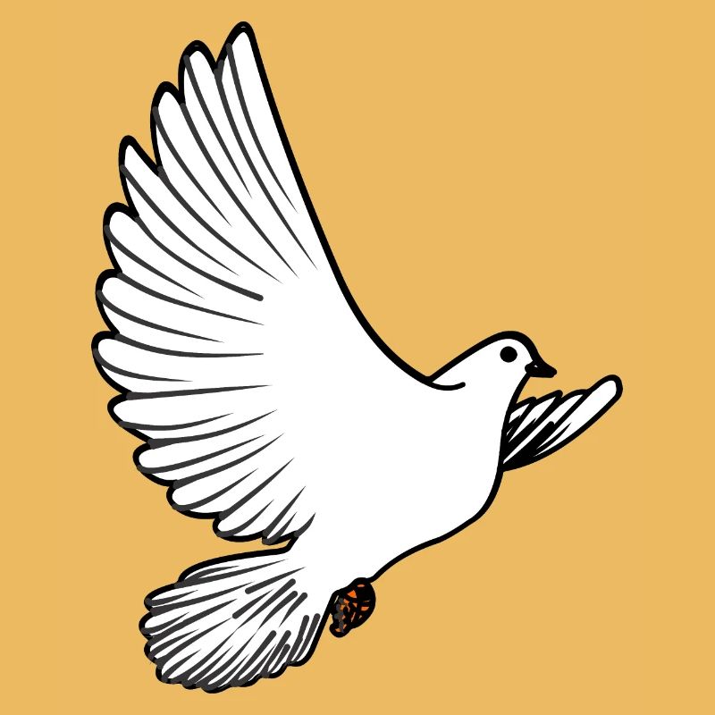 Weiße Taubenbrieftaube Ziertaube oder Friedenstaube