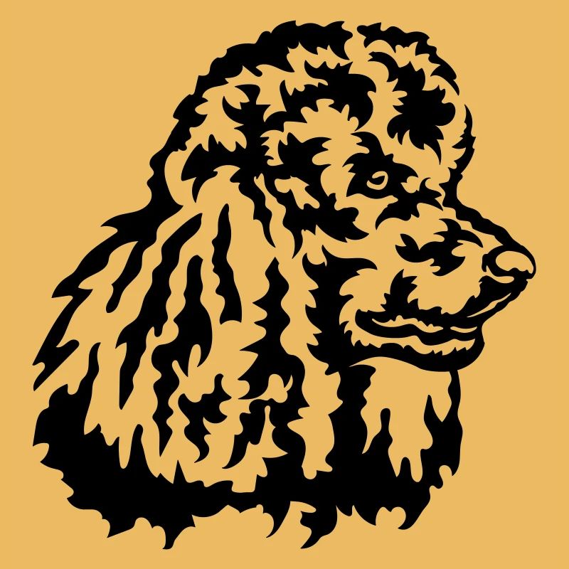Grosse tête de caniche