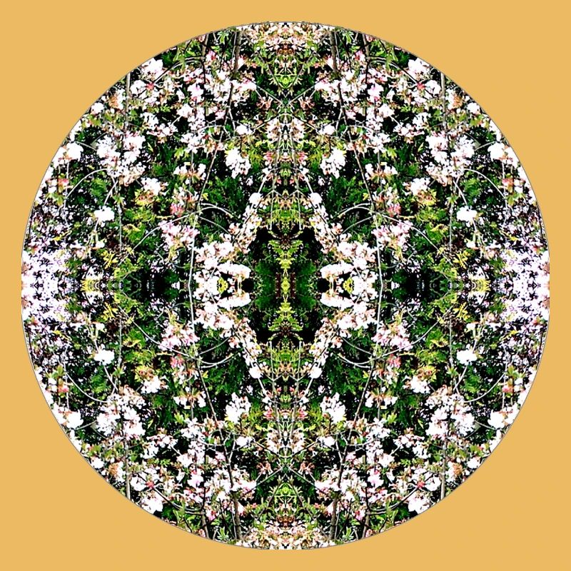Source du Mandala de la Nature à Nuremberg