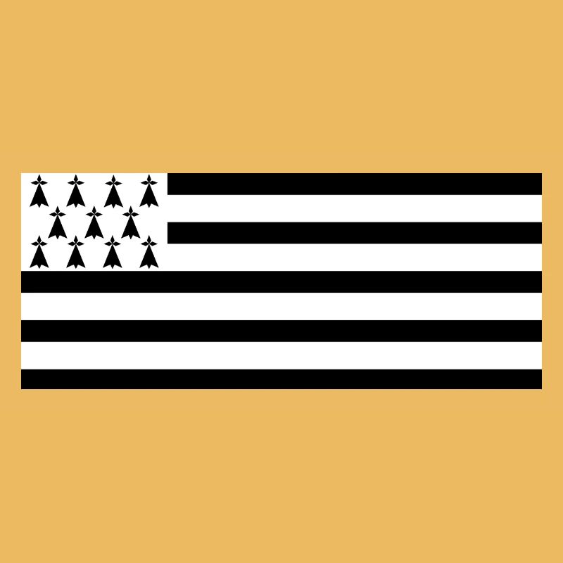 Drapeau Breton Bretagne