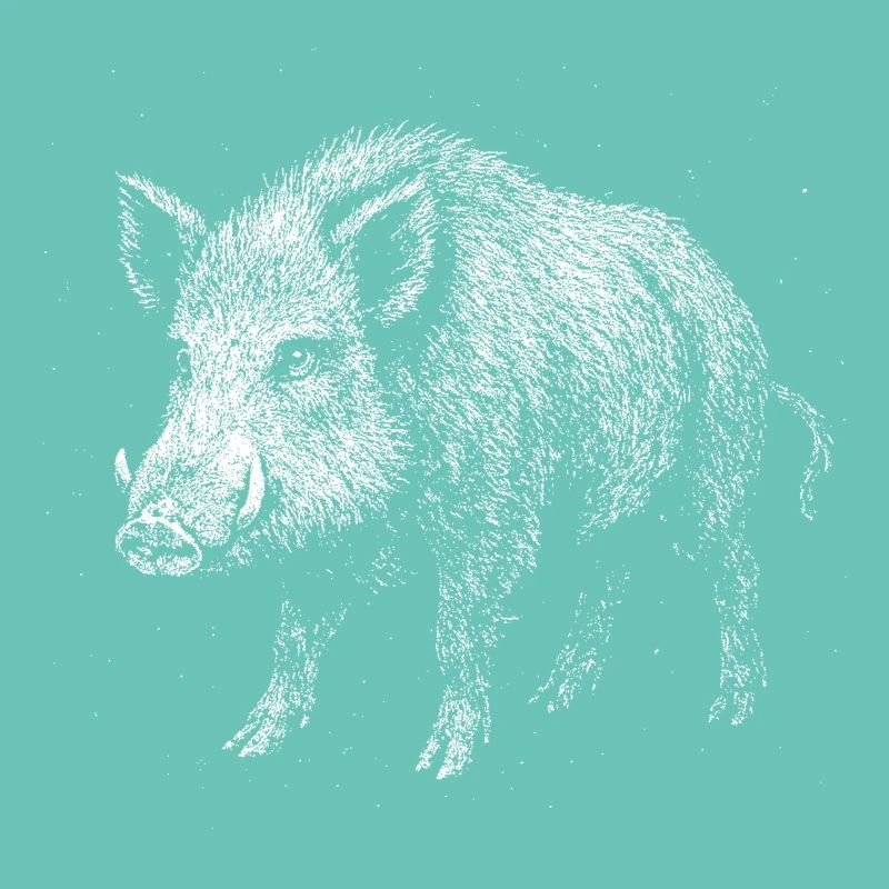 Wild boar