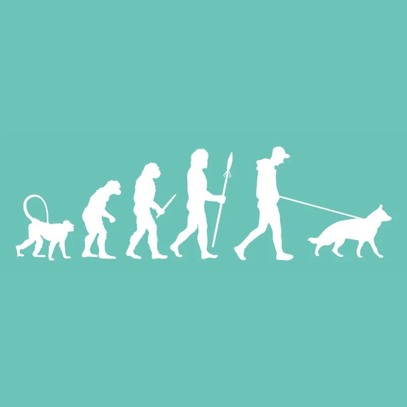 Evolution Deutscher Schäferhund