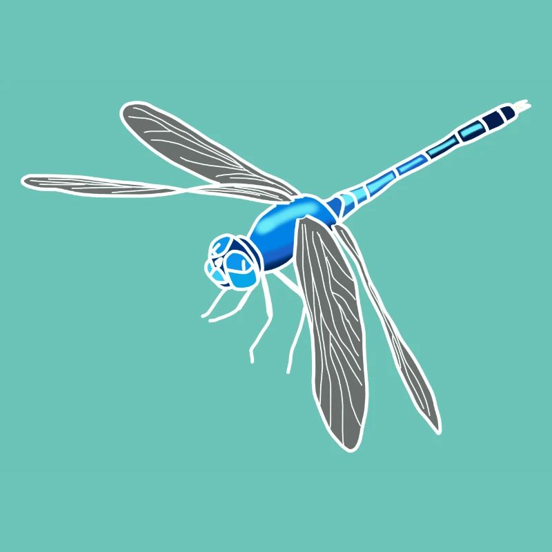 Libellule