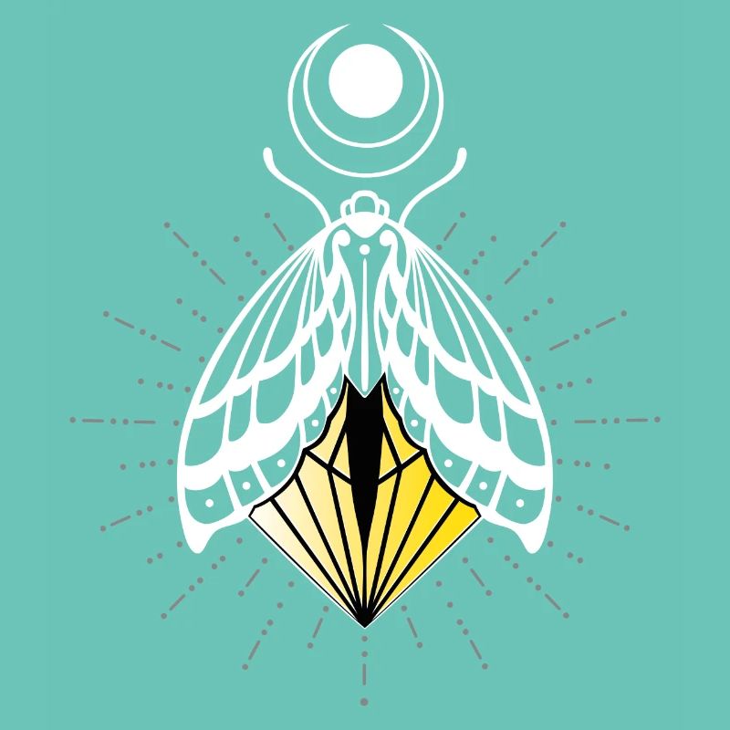 Firefly Moth Moth Moth