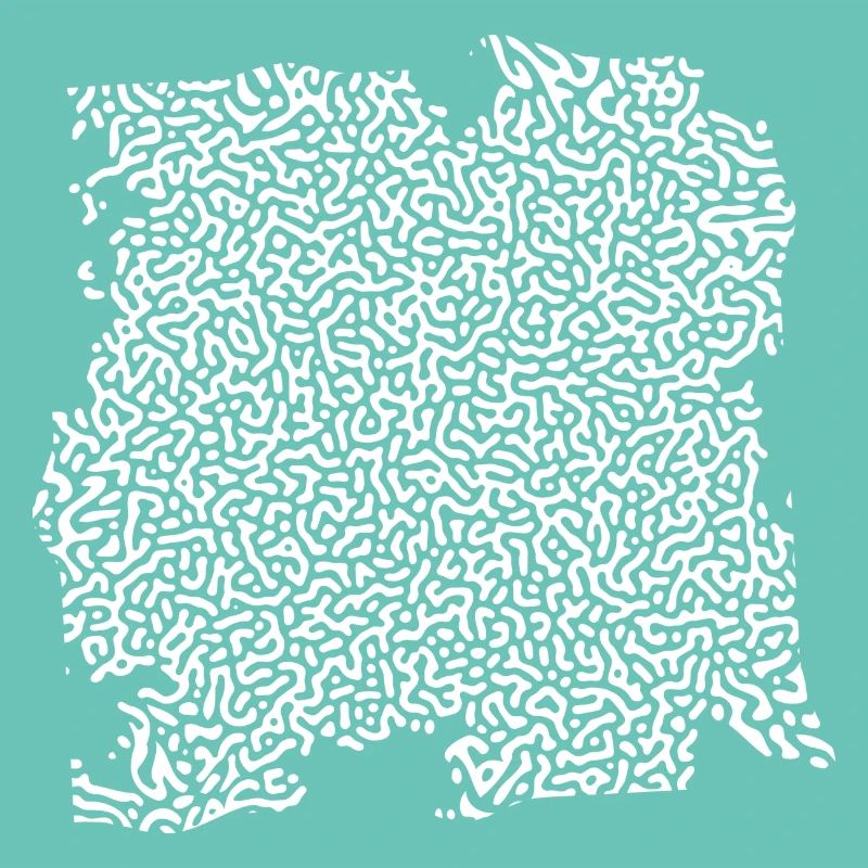 Turing Pattern Blanc - Ver