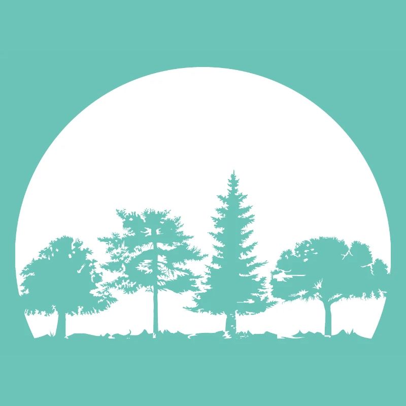 Forest, Moon, Mixed Forest, Nature, Oak, Beech, Birch, Spruce