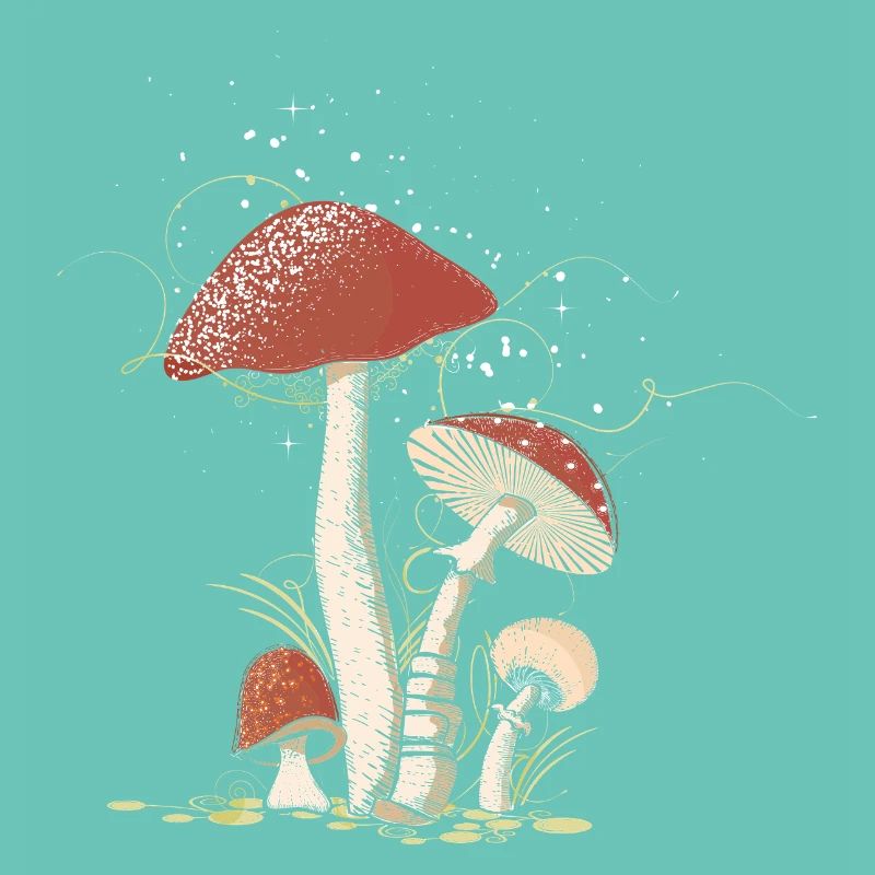 Magical toadstools in the forest illustrated