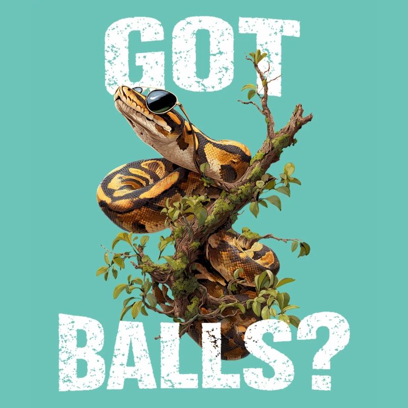 Python roi Serpents Amateurs de terrarium Python