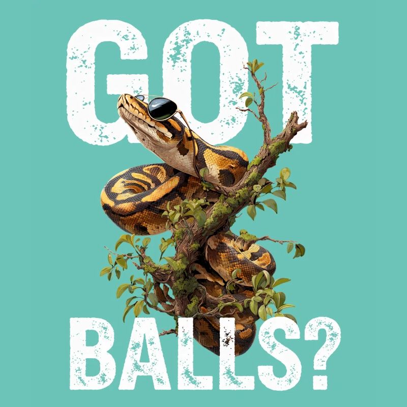 Königspython Schlangen Liebhaber Terrarium Python