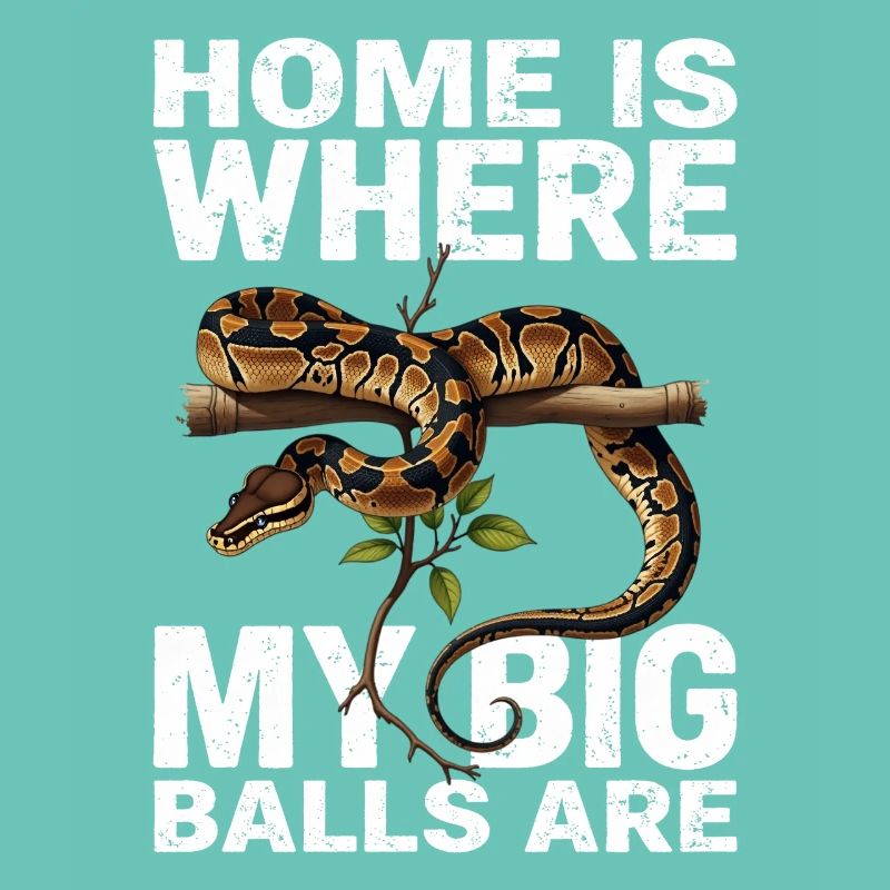 Python roi Serpents Amateurs de terrarium Python